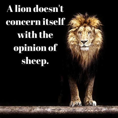 A lion doesn't concern itself with the opinion of sheep. - Mindset Made ...