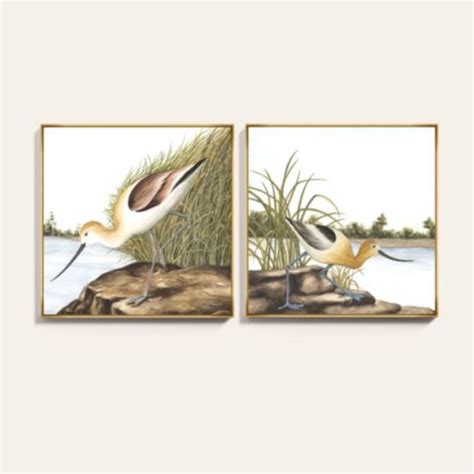Avocet Bird Canvas Art by BL in Gold Frame & Linen Texture for Living ...