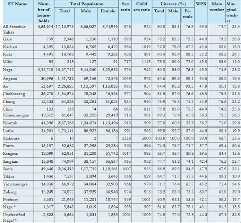 16 Major Tribes of Nagaland