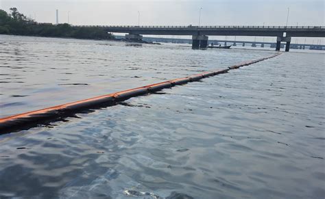 चेन्नई में तेल रिसाव 20 किमी तक फैला, पर्यावरणविद बोले- "बहुत देरी कर ...