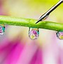 Image result for Photography Creative Water Techniques