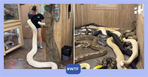 Python Wrapped around Body 的图像结果