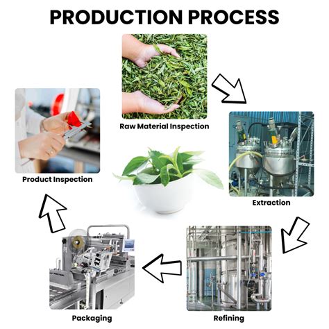 Image result for Stevia Process