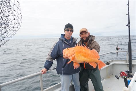 Top Rated Halibut Fishing Seward Alaska | Ninilchik Charters