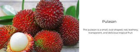 Pulasan – Health Benefits, Uses and Important Facts - PotsandPans India