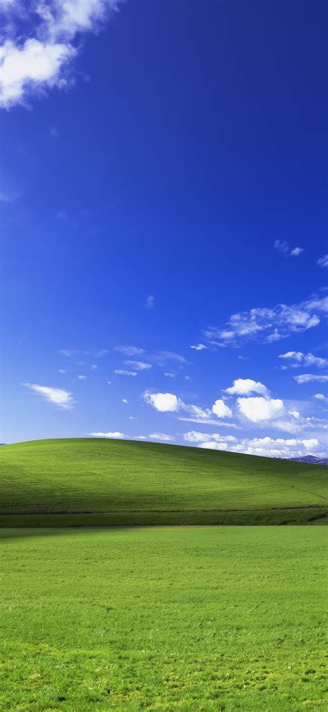 Image result for Windows 95