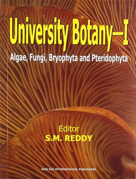 Buy University Botany I (Alage, Fungi, Bryophyta and Pteridophyta): v ...