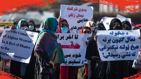 The Taliban has banned female university education in Afghanistan—and ...