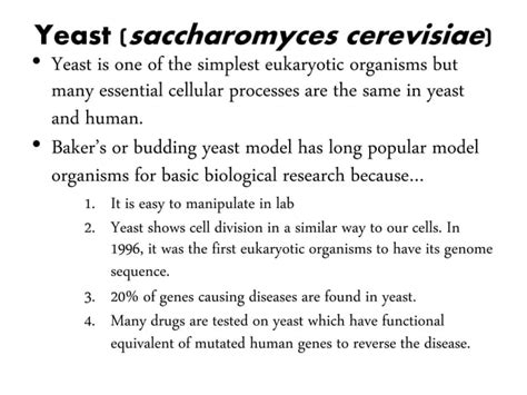 Image result for Classification System Latin