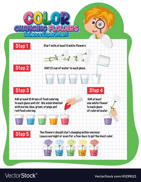 Image result for Science Project Science Project Colour