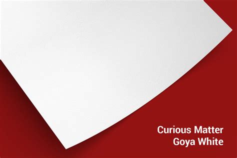 Curious Matter Goya White — Quantum Infinity Papers Pvt Ltd