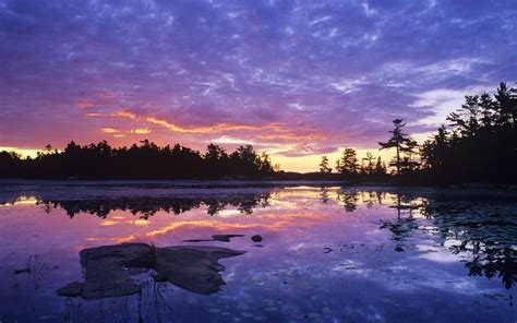 Amazing Computer Graphics 的图像结果