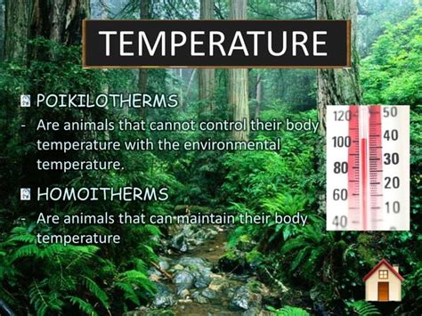 Image result for Abiotic Components Examples