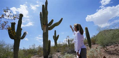 Image result for Temperature Language