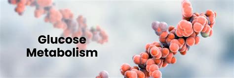 Metabolismo da glicose, sua regulação e seus distúrbios