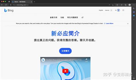 必应 Ai 聊天 的图像结果