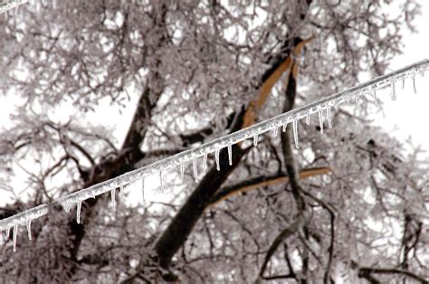 Newsletters - Salt River Electric