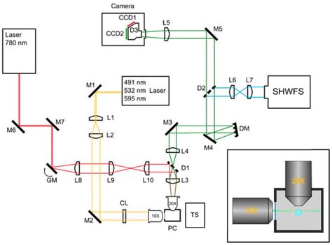 MPs | Special Issue : Technical Advances in Light Microscopy