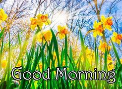 Image result for Good Morning Early Spring Showers