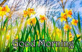 Image result for Good Morning Spring Day Love You