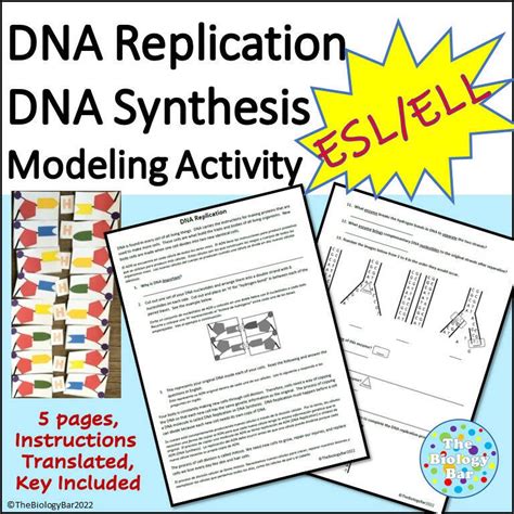 Image result for DNA Simulation Worksheet
