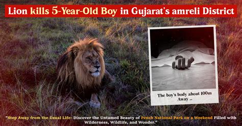 Gir National Park | Gir Safari Booking Online | Gir Forest