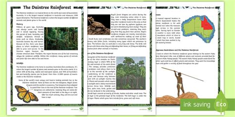 Daintree Rainforest Fact Sheet