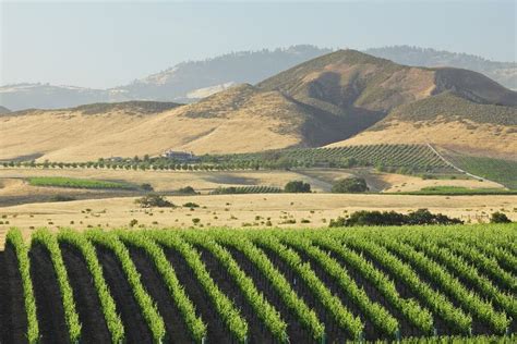 15 Best Santa Barbara Wine Tasting Tours In 2026