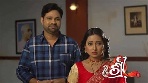Shree TV Serial - Watch Shree Online All Episodes (1-120) on ZEE5