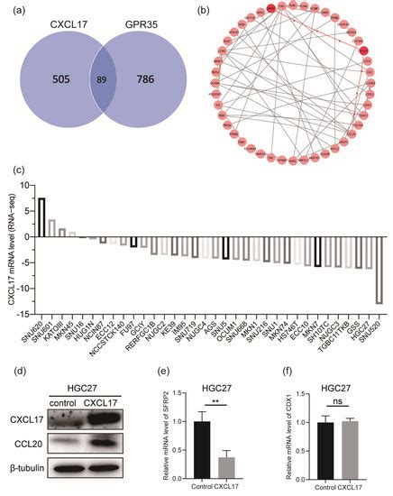 Involvement of CXCL17 and GPR35 in Gastric Cancer Initiation and ...