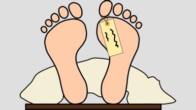 Rats chew up body in Hyderabad hospital morgue | Hyderabad News - The ...