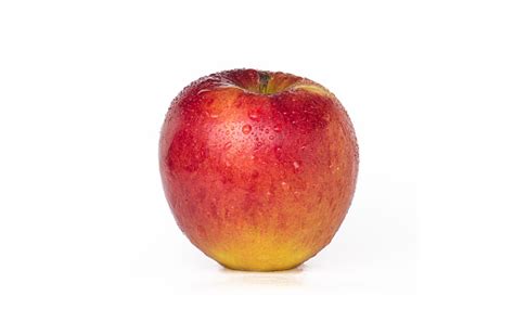 Image result for Apple System.Data