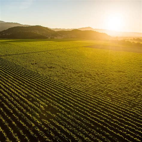 Napa Valley Travel Trade Planning Toolkit | Guides & Maps