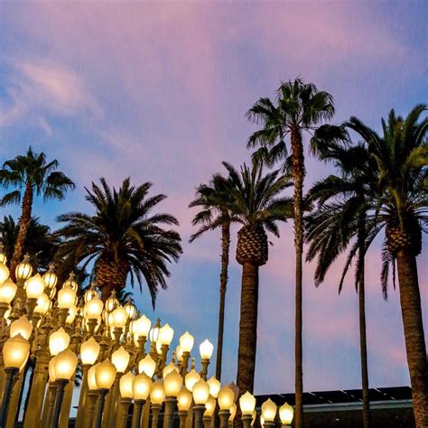 50 more things to do in los angeles – Artofit