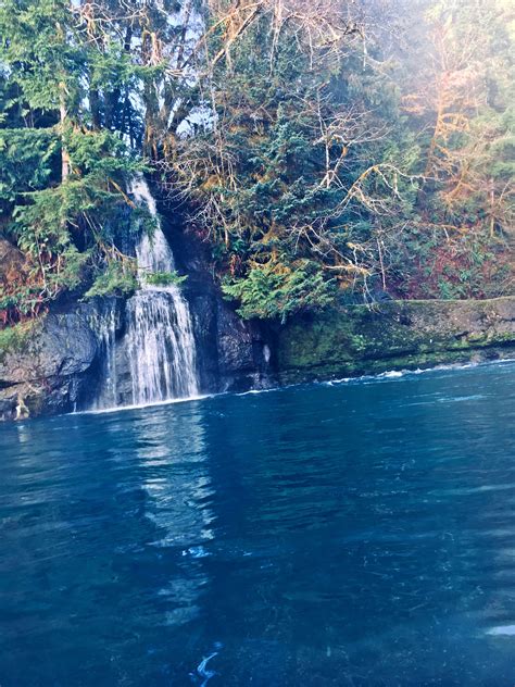 Moonshine Park in Logsden, Oregon | Outdoors adventure, Outdoor, Oregon