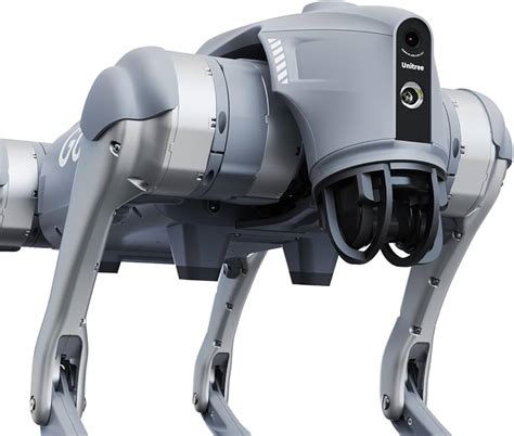 Robot Dog 的图像结果