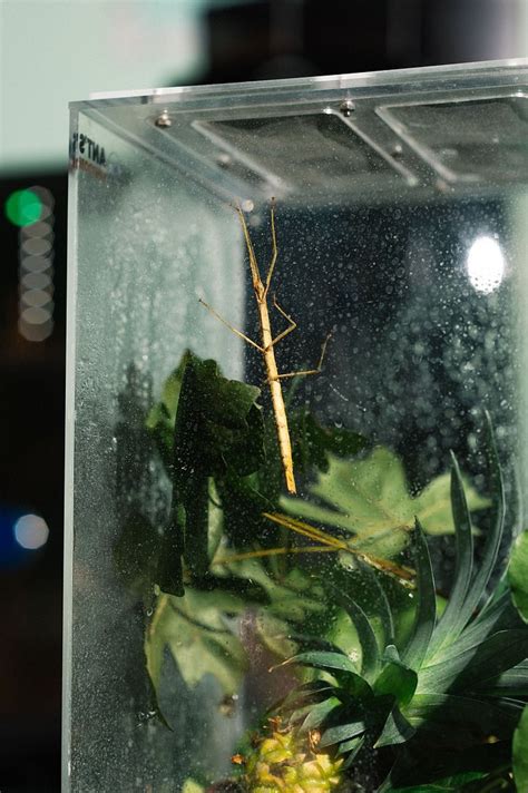 QBIC HOTEL AMSTERDAM WTC - Hotel Reviews, Photos, Rate Comparison ...