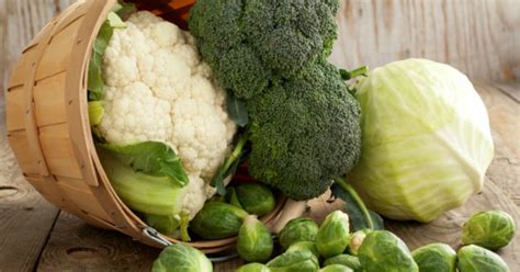 Broccoli Can Be A Lifesaver For People Who Are Obese And Suffer From ...