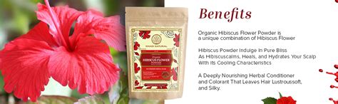 KHADI NATURAL Hibiscus Flower Organic Powder Pack of 2 (2x100gm) 200gm ...