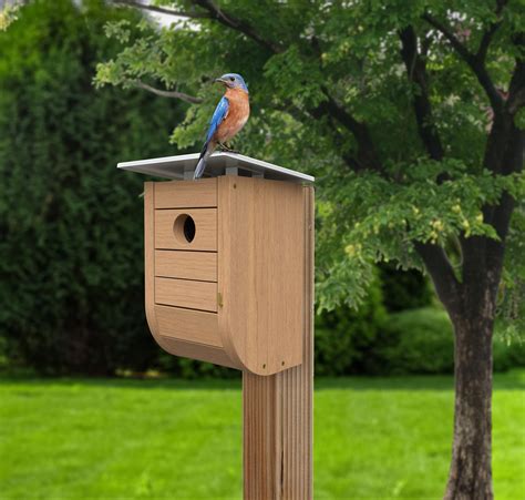 Nordic Habitat Modern Bluebird House with teakwood finish - WoodLink