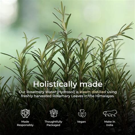Rosemary Hydrosol for Hair | Steam Distilled Rosemary Water – Blend It ...