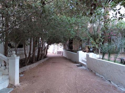 FIGHTING KANGAROO CAMP (Dahab) - Hostel Reviews, Photos, Rate ...