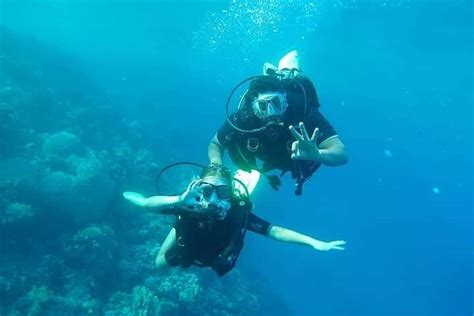 DIVING STAR (2026) All You Need to Know BEFORE You Go (with Photos ...