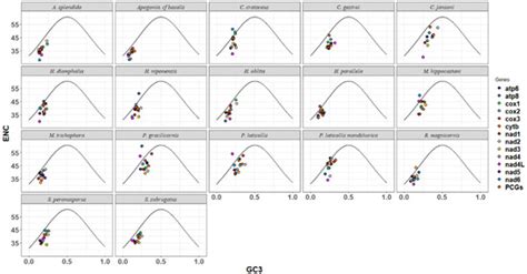 Phylogenetic and Codon Usage Bias Analysis Based on mt-DNA of ...