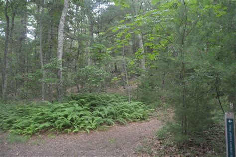 Revisiting Broadmoor Wildlife Sanctuary in South Natick - Natick Report