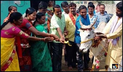 మా ఆవే మాకు ఆడబిడ్డ : గోమాతకు శ్రీమంతం | Telangana man pregnant cow ...