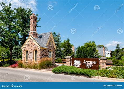 Street Of Northbrook Village, Is A Village On Chicagos North Shore ...