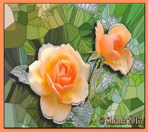Solve Apricot Roses -- Rerun From 2017 jigsaw puzzle online with 120 pieces