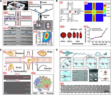 Image result for Xdc Reduction Formula