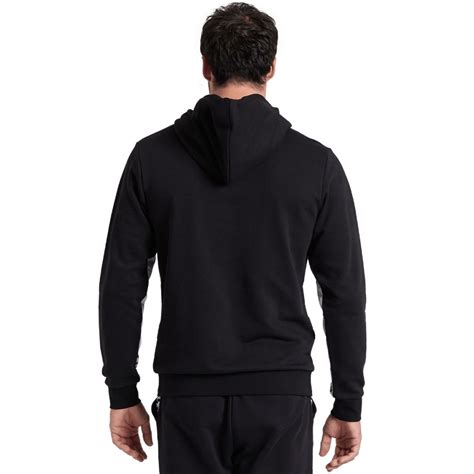 arena ICONS HOODED UNISEX SWEAT SOLID